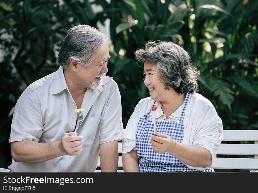 Elderly couples Cooking Healthy food together