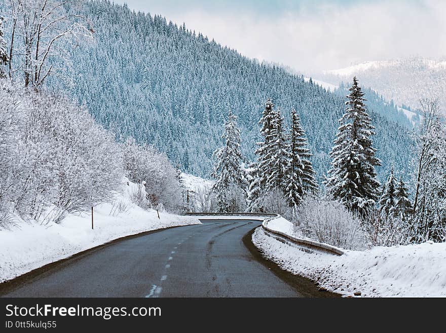 Road in the mountains, winter scenery