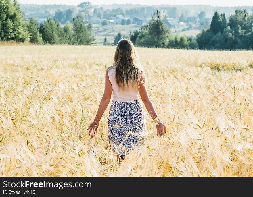 Portrait of a beautiful young woman in a dress walking through the wheat field. Portrait of a beautiful young woman in a dress walking through the wheat field