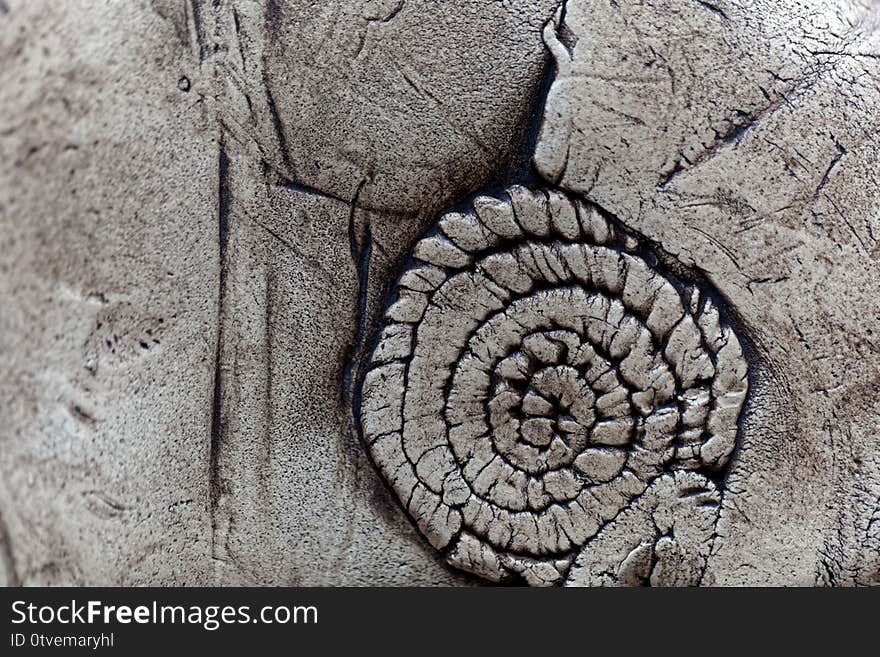 Macro photo of grey pottery surface with a fossil texture