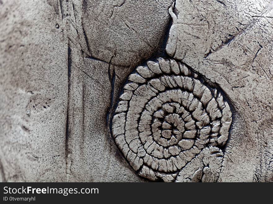 Grey pottery surface with a fossil texture