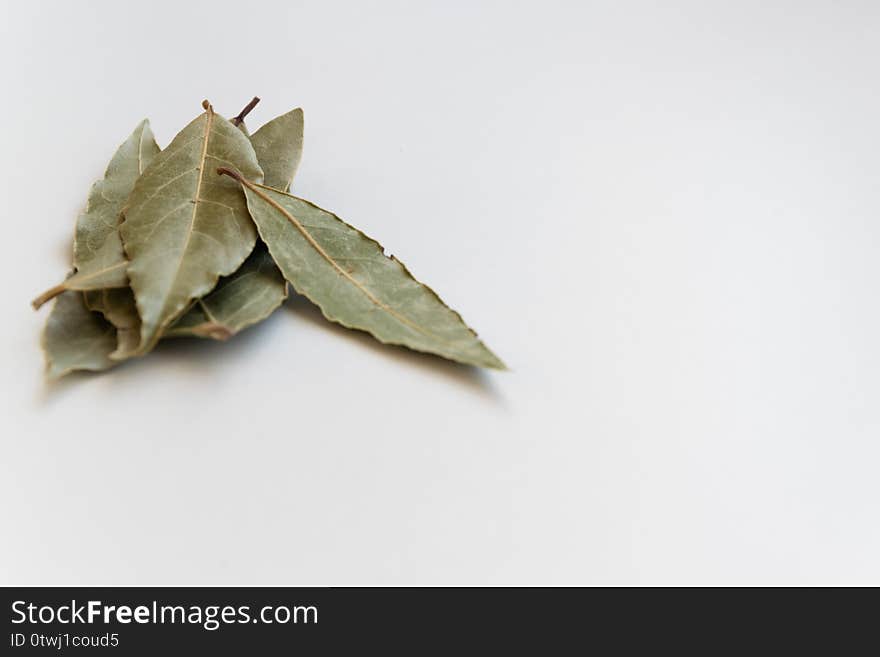 Dried bay leaves, aromatic seasoning ingredients