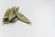 Dried Bay Leaves, Aromatic Seasoning Ingredients Royalty Free Stock Photo