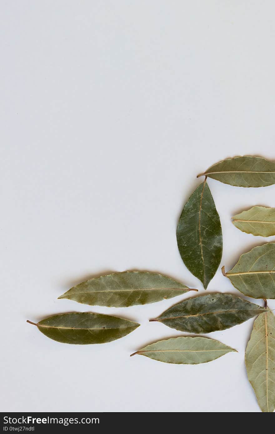 Dried bay leaves, aromatic seasoning ingredients