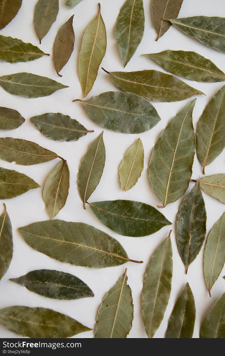 Dried bay leaves, aromatic seasoning ingredients