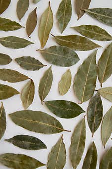 Dried Bay Leaves, Aromatic Seasoning Ingredients Royalty Free Stock Photos