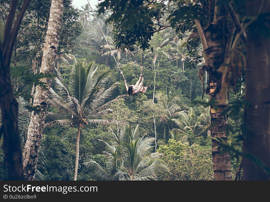 Woman swings in the jungle. Woman swings in the jungle