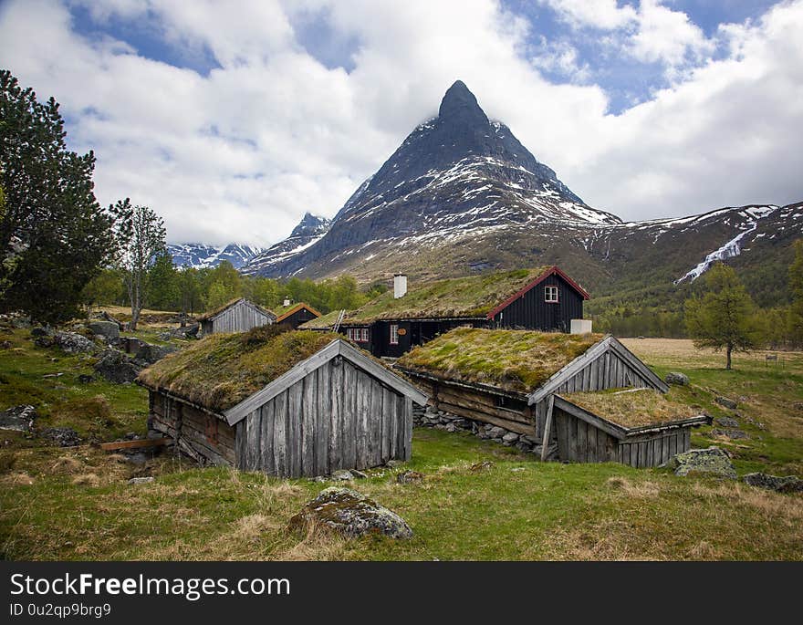 Traditional, Grassy Roofs Of Houses In Norway