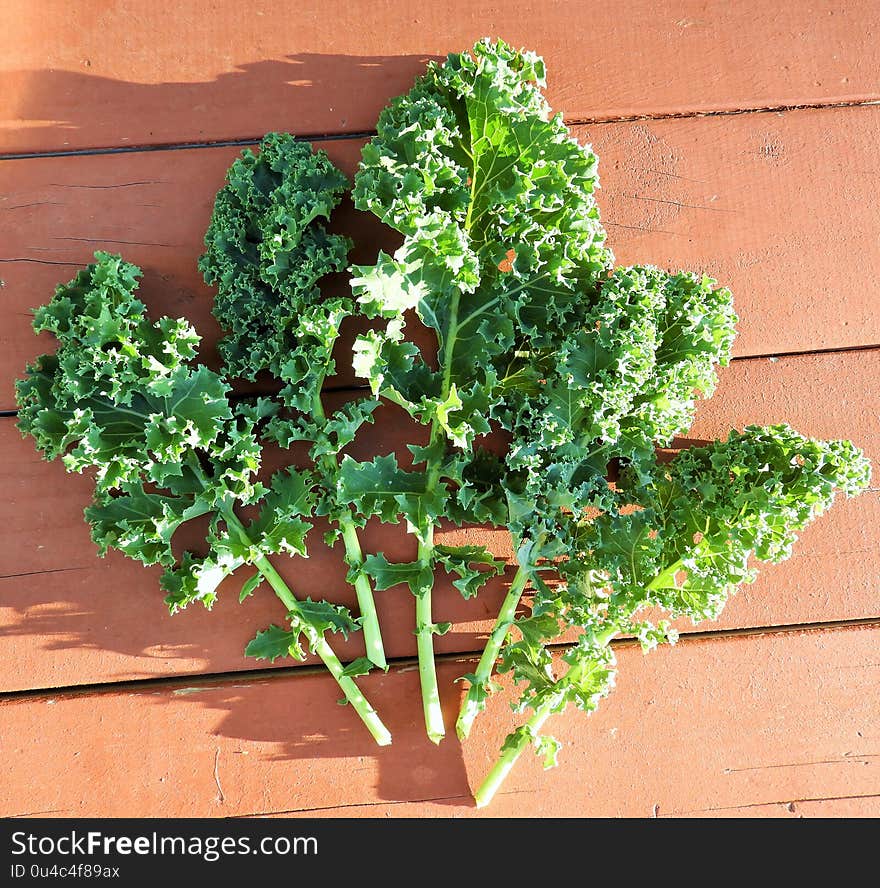 Kale leaves