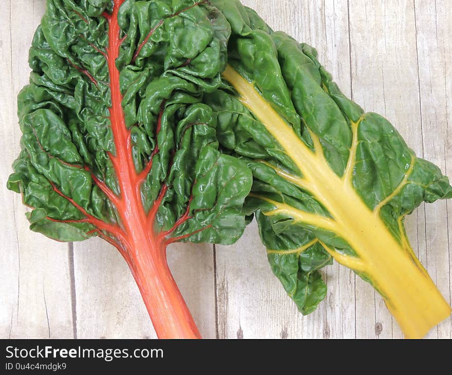 Rainbow Chard_Yellow and Red