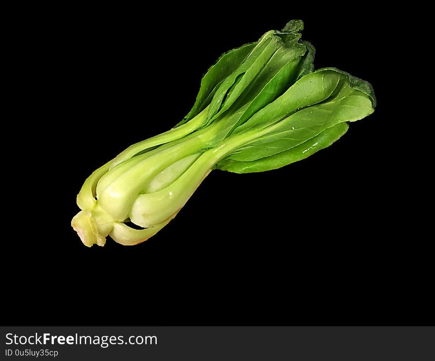 Bok Choy