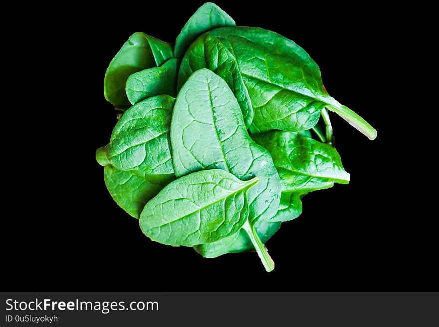 Fresh Spinach