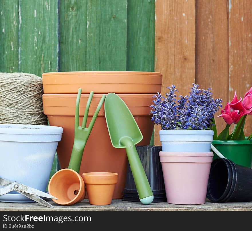 Gardening tools and flowers: tulips, terracotta clay flower pots with black plastic containers and garden tools on wooden table