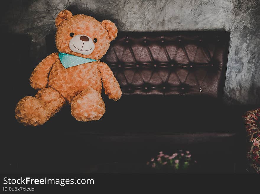 Inside modern coffee shop decoration.Teddy Bear on Brown Leather Couch