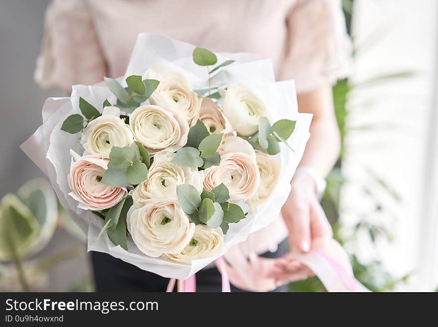 Persian Buttercup In Womans Hands. Bunch Pale Pink Ranunculus Flowers With Green Eucalyptus. The Work Of The Florist At