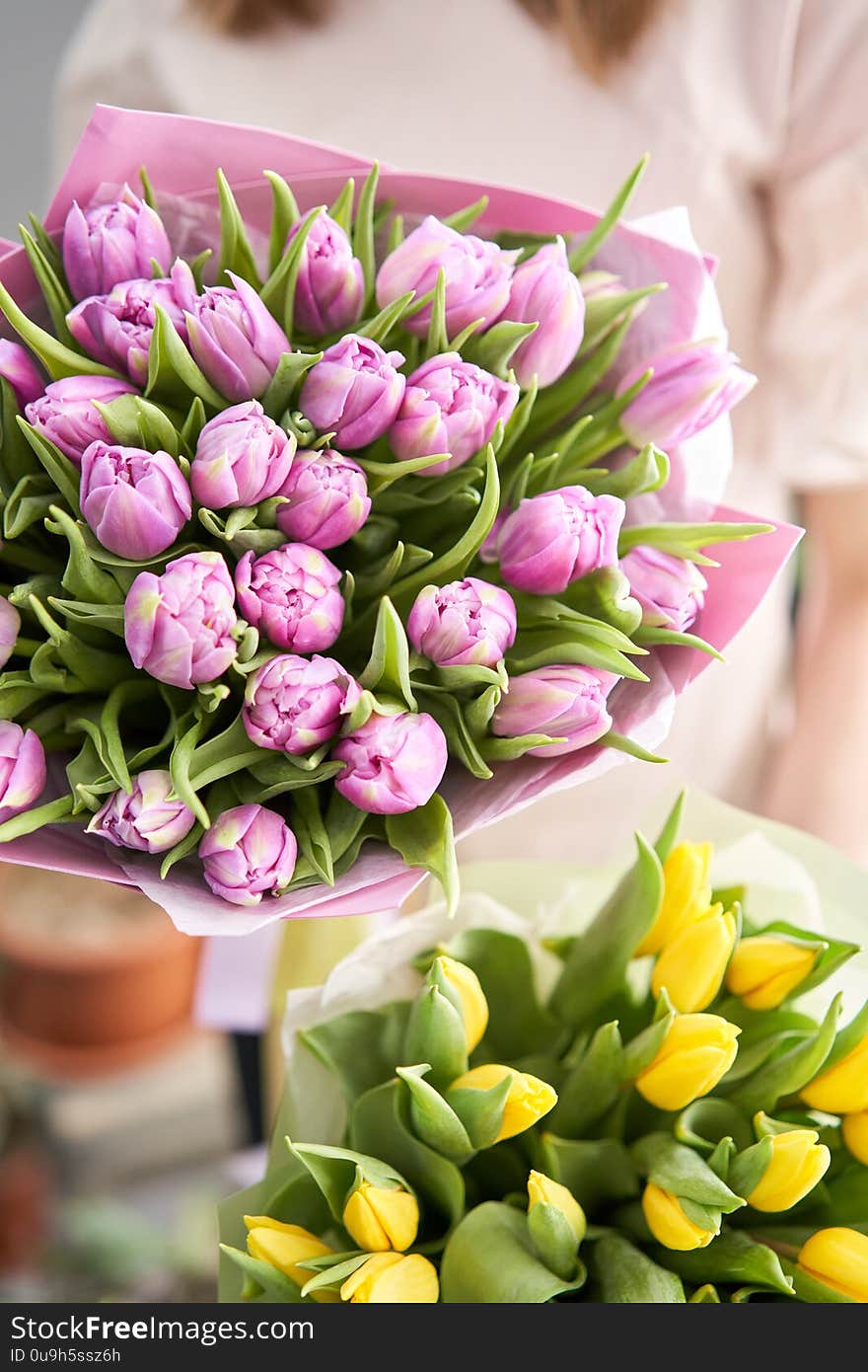 Two Beautiful bouquets of tulips in womans hands. the work of the florist at a flower shop. Delivery fresh cut flower