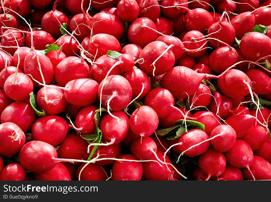 Heap of small red radish. Close up overhead view