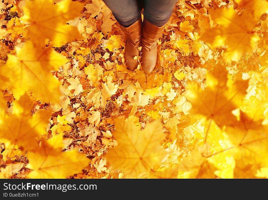 Fall, autumn, leaves, legs and shoes. Conceptual image of legs in boots on the autumn leaves. Feet shoes walking in nature