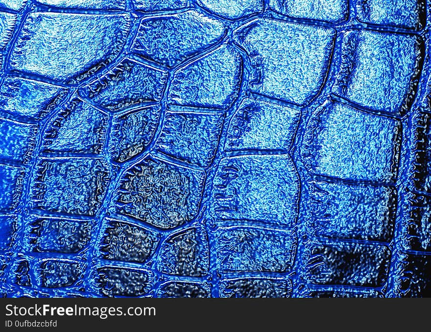 Crocodile leather texture background, blue color.