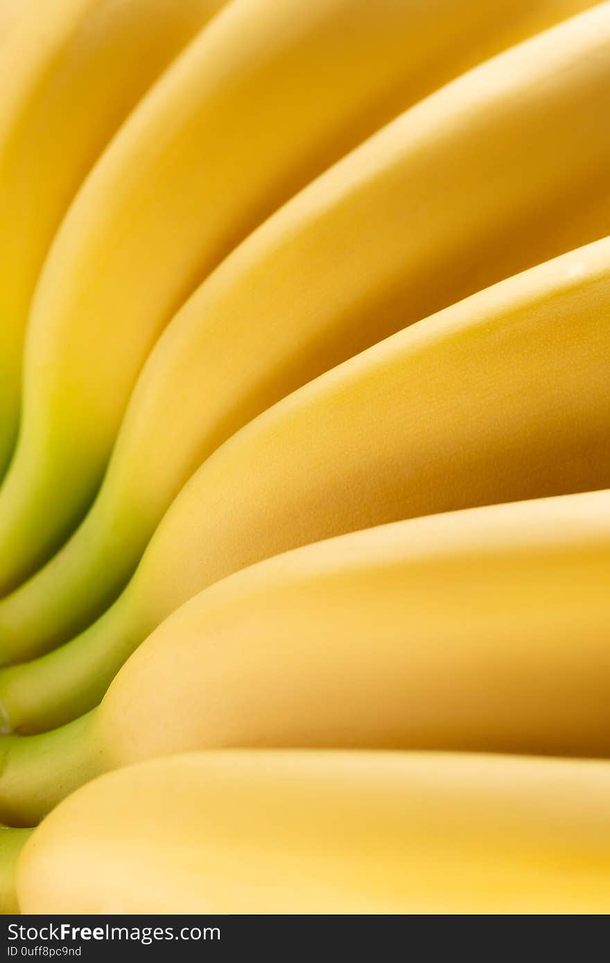 Close up of banana bunch