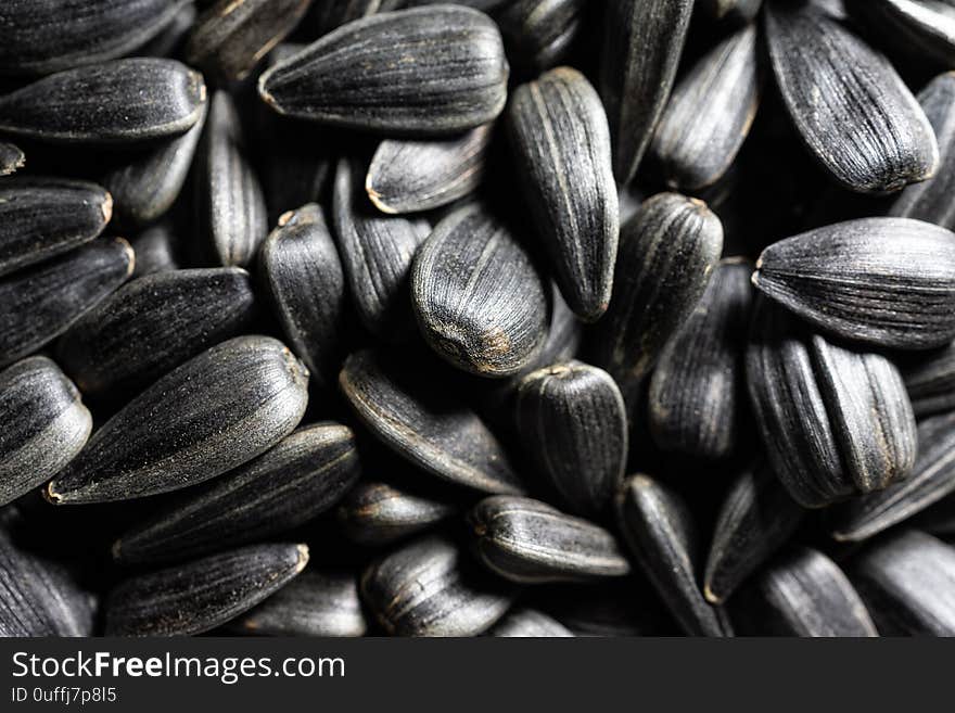 Texture of sunflower seeds