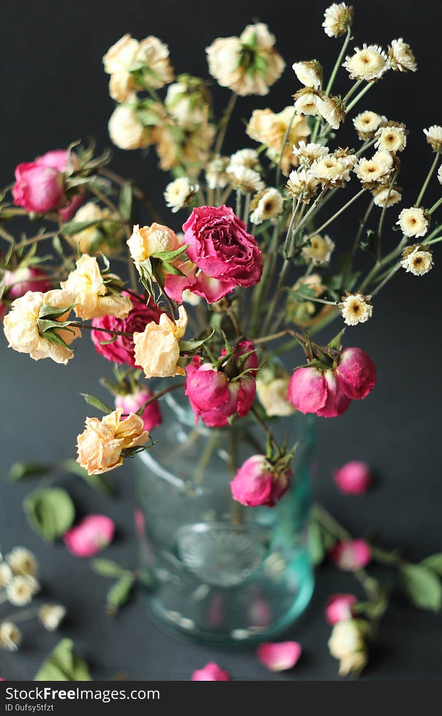 dry pink beige roses in a glass vase on a dark background blurred background. dry pink beige roses in a glass vase on a dark background blurred background