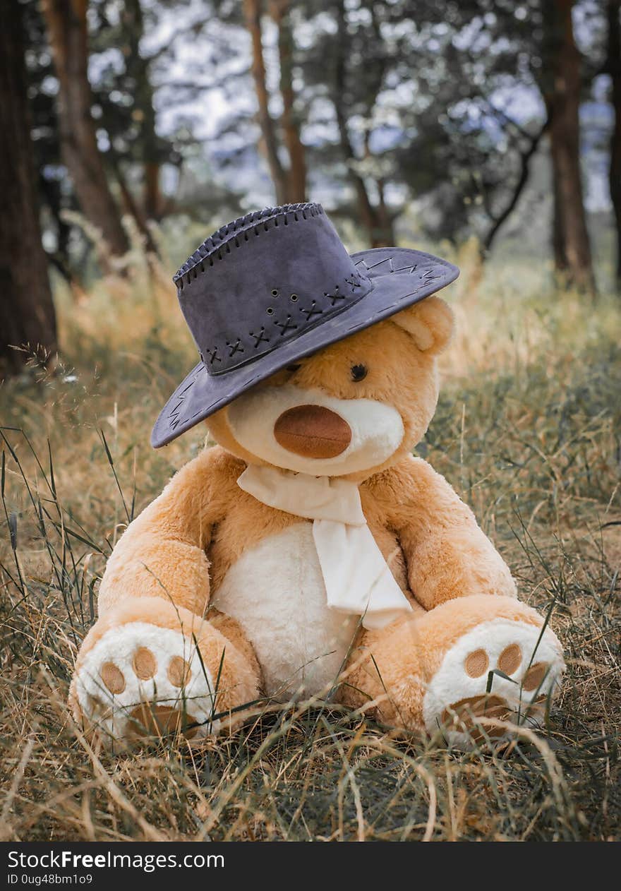 Orange toy bear in a cowboy hat among the forest sits in green and yellow grass