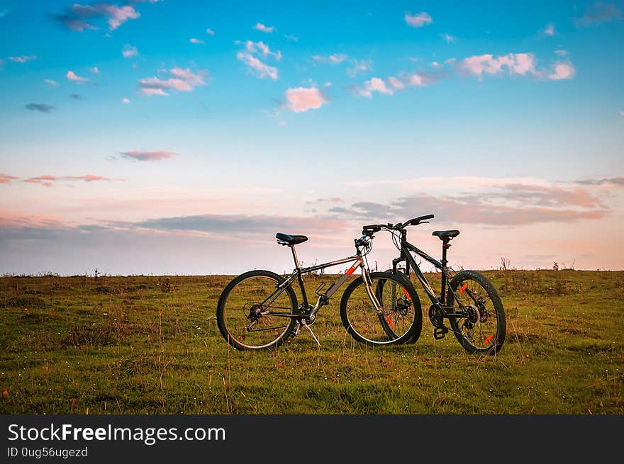 Two bicycles on green grass at sunset