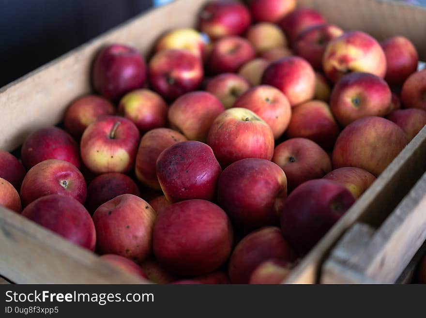 Ripe red-yellow apples in boxes