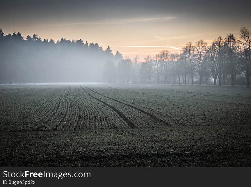 Foggy mistical atmosphere in winter time fields and forest,