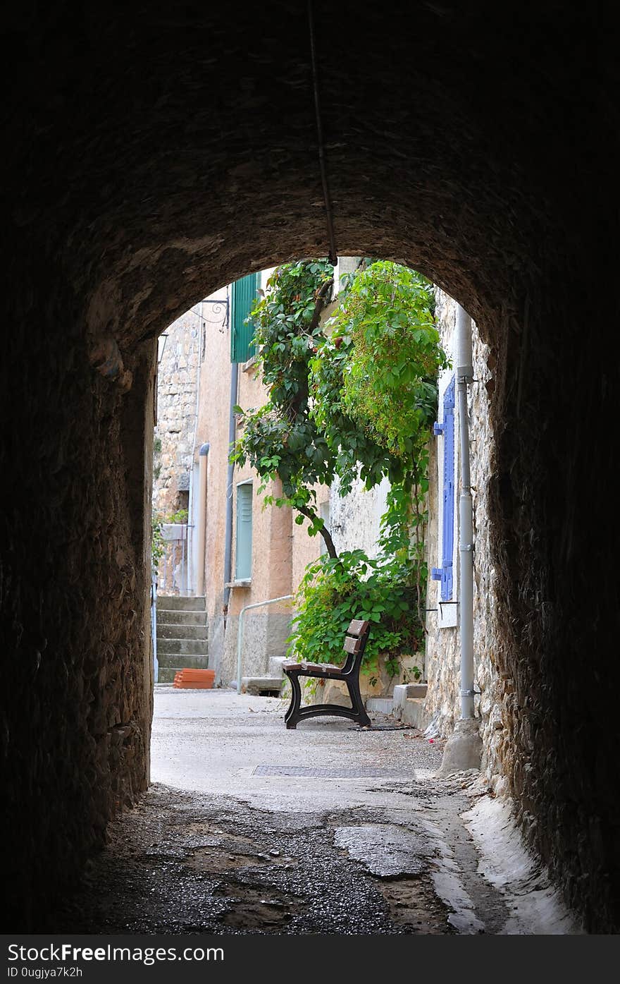 Travel to Provence in the south of France. lavender culture and small village