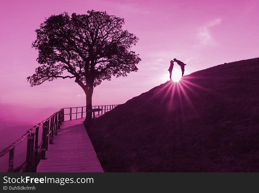 Couple silhouette on hill and lonely tree, The sun is falling down behind with lights flare On the top of Doi Pui Co,  Popular tourist attraction in Mae Hong Son, Thailand. Couple silhouette on hill and lonely tree, The sun is falling down behind with lights flare On the top of Doi Pui Co,  Popular tourist attraction in Mae Hong Son, Thailand