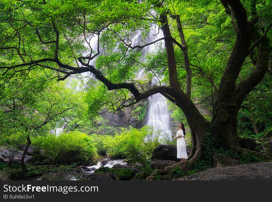 Women wearing white dresses standing under big tree with waterfall backdrop, Khlong Lan Waterfall was the last major waterfall Khlong Lan National Park, Kamphaeng Phet Thailand