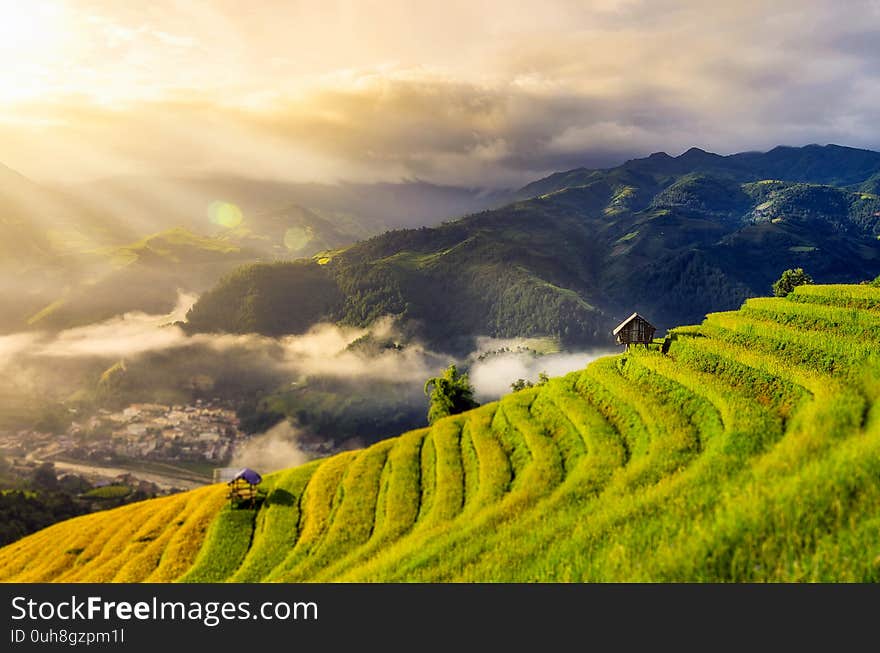 Rice fields on terraced of Mu Cang Chai, YenBai, Vietnam. Rice fields prepare the harvest at Northwest Vietnam