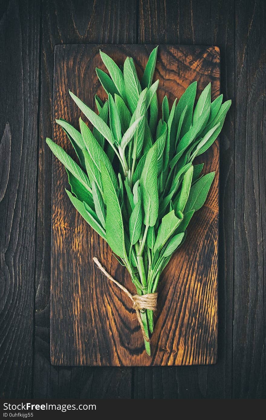 Fresh sage  leaves on  dark background. Top view with copy space. Fresh sage  leaves on  dark background. Top view with copy space