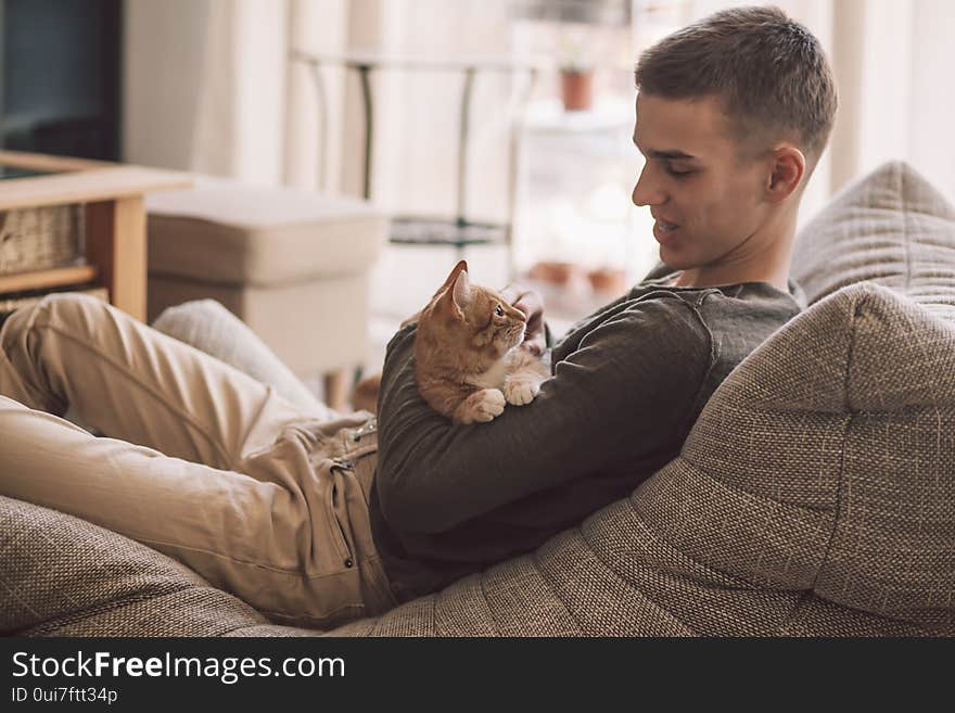 Owner playing with cat while relaxing on modern couch in living room interior. Young man resting with pet in soft chair at home. Owner playing with cat while relaxing on modern couch in living room interior. Young man resting with pet in soft chair at home