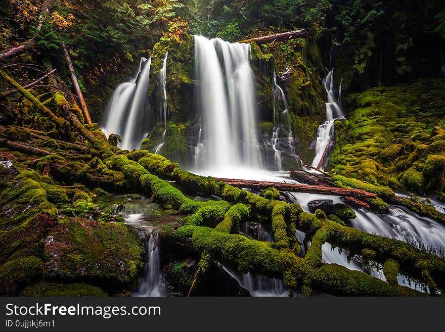 Downing Creek Falls, a Hidden Falls in Oregon