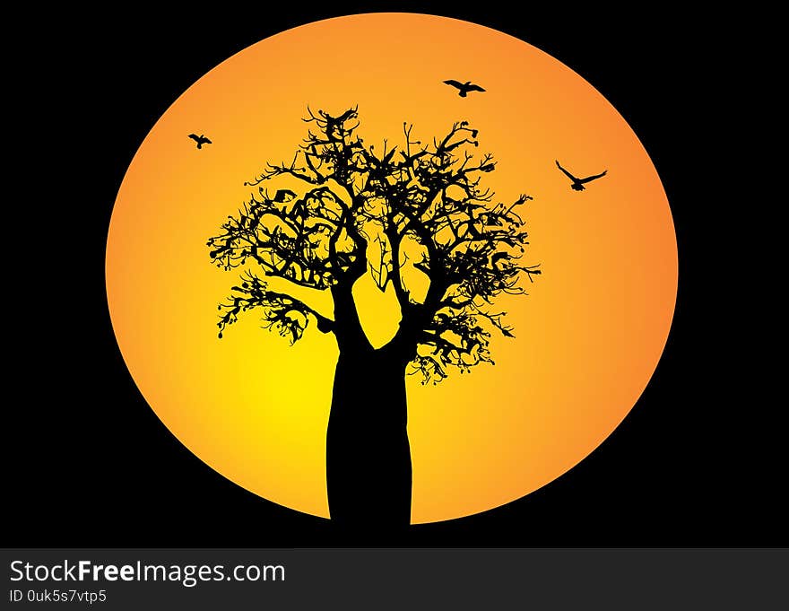 Boab tree with birds flying and a large orange moon on a black background. Boab tree with birds flying and a large orange moon on a black background