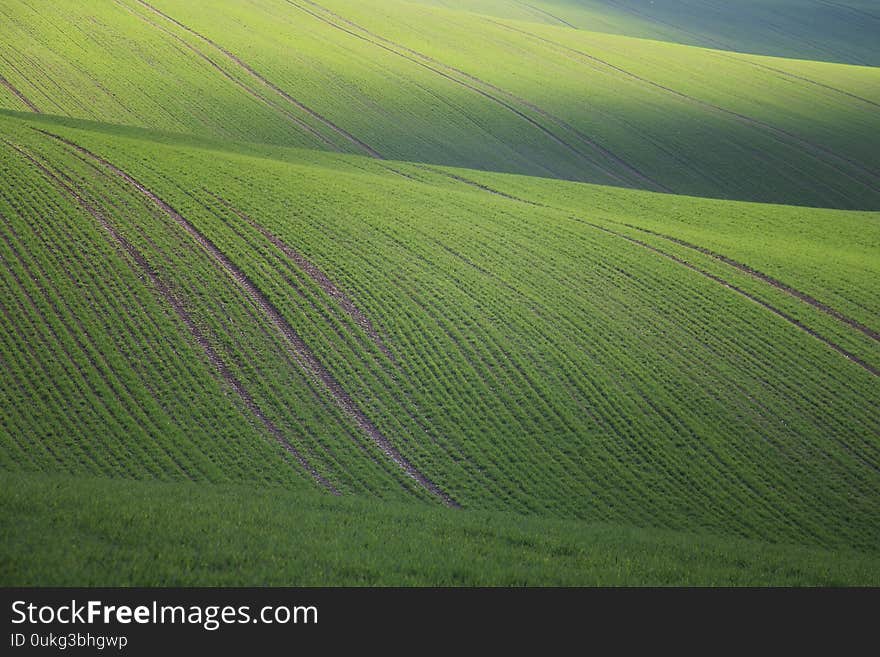 Beautiful moravian filds on the morning lights in village