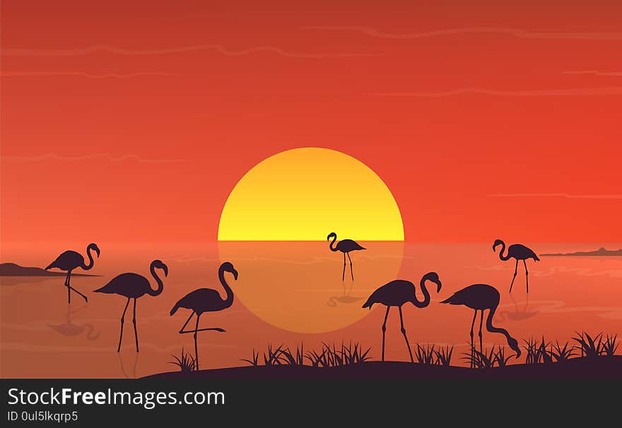 Flamingo silhouette at sunset landscape on lake scene. Vector