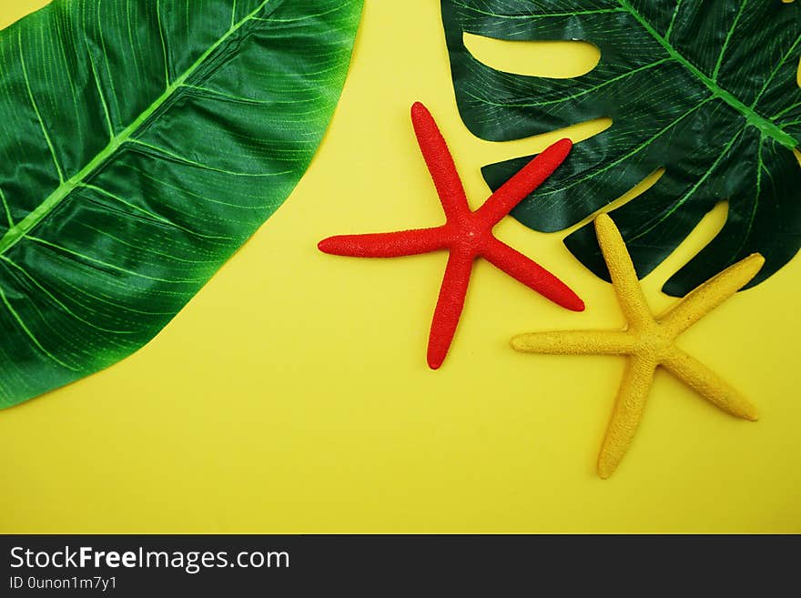 Top view of Summer Background with starfish and green leave on yellow background