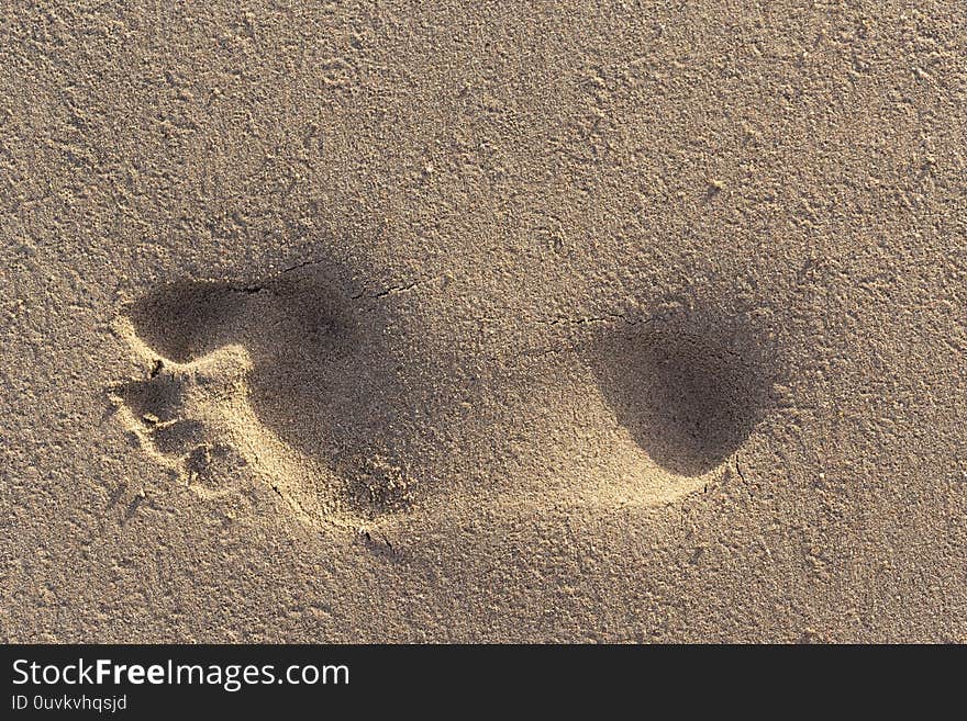 Trail of a bare foot of a man on the sand. Print on a wet surface illuminated by the evening sun