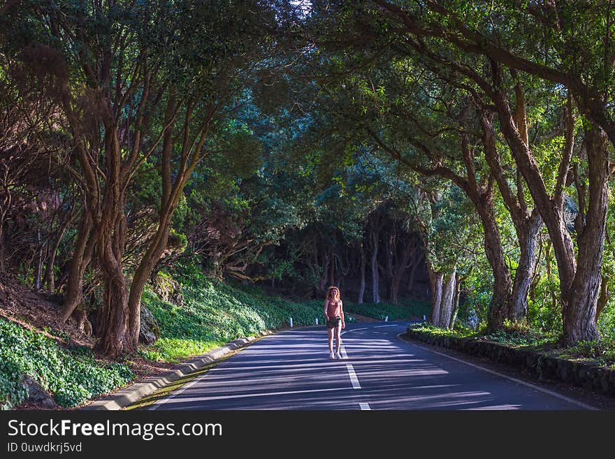 Young woman walking at the road in the forest near Vigia das Baleias. Terceira, Azores. Portugal