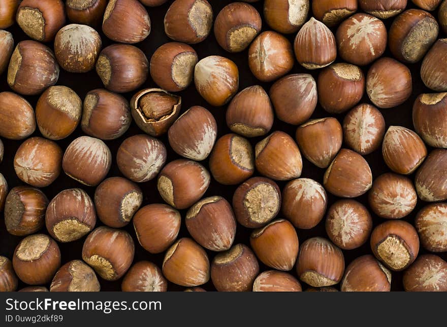 Close-up taken of Shelled Hazelnuts Background on black,flat layout,top view. Close-up taken of Shelled Hazelnuts Background on black,flat layout,top view