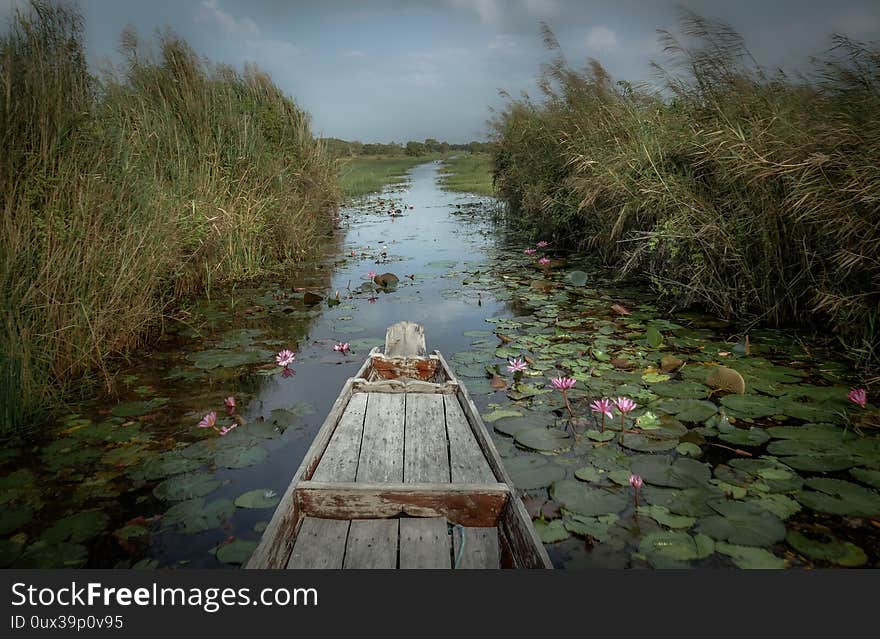 Wetland trip by little traditional boat in fresh water lake with wild green ecosystem, romantic boat trip with nobody in nature, Thale Noi swamp, Phatthalung, Thailand. Wetland trip by little traditional boat in fresh water lake with wild green ecosystem, romantic boat trip with nobody in nature, Thale Noi swamp, Phatthalung, Thailand