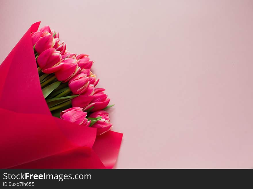 Bright bouquet of red tulips in wrapping paper