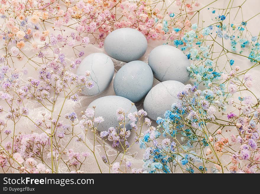 Hand painted Easter eggs on a background of multicolored pastel flowers. Happy Easter. Set of Easter eggs with a multicolored flowers on a white background. Spring holiday