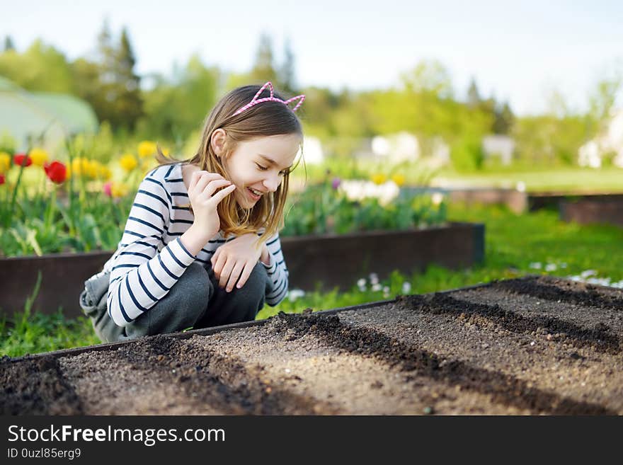 Cute young girl helping to plant seedlings in a garden. Children taking part in outdoor household chores