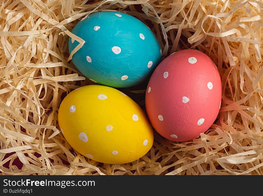 Colorful polka dot Easter eggs in wooden nest, greeting card, top view