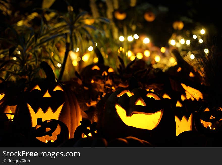 Image of Halloween jack lantern. Shooting location :  Yokohama-city kanagawa prefecture